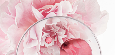 Rose complex