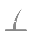 Ícone